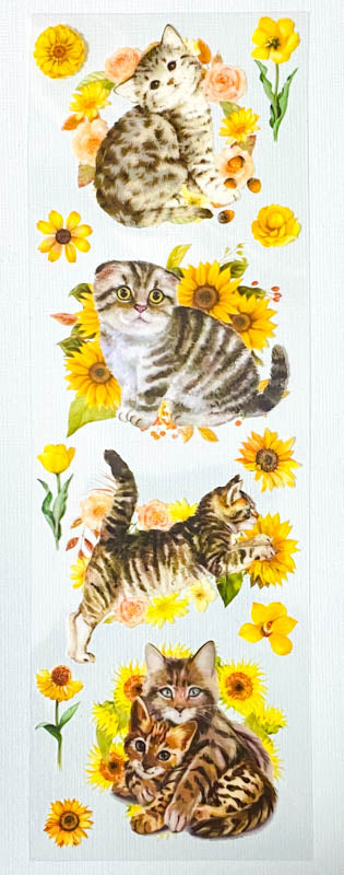 sunflower golden yellow orange flowers cat cats pretty kittens plastic clear sticker stickers sheet garden tabby tabbies grey brown floral uk stationery cute kawaii