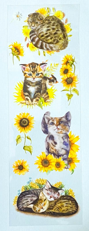 sunflower golden yellow orange flowers cat cats pretty kittens plastic clear sticker stickers sheet garden tabby tabbies grey brown floral uk stationery cute kawaii