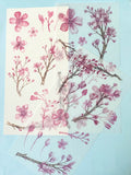 japanese cherry blossom floral flower flowers sticker stickers sheets pack 3 translucent washi paper pretty cute kawaii stationery uk spring blossoms