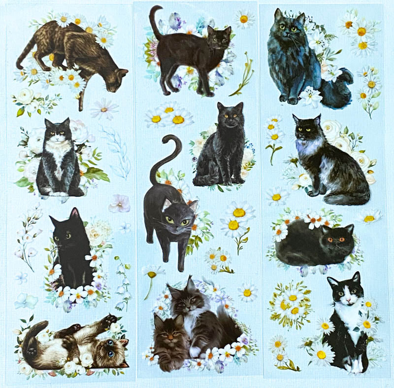 clear sticker stickers black cat cats kawaii cute stationery pack 3 sheet sheets flower flowers floral plastic and white kitten kittens animals uk daisy daisies grey