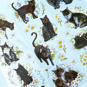 clear sticker stickers black cat cats kawaii cute stationery pack 3 sheet sheets flower flowers floral plastic and white kitten kittens animals uk daisy daisies grey