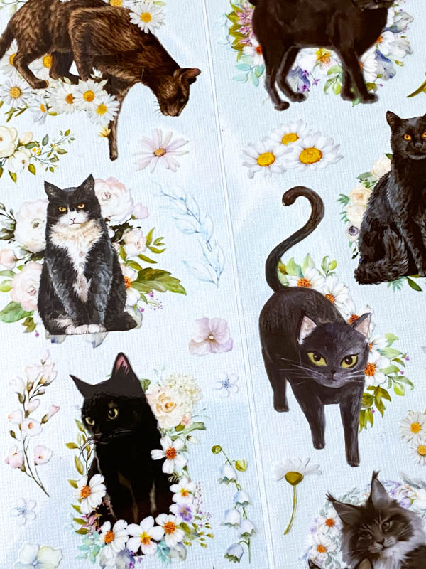 clear sticker stickers black cat cats kawaii cute stationery pack 3 sheet sheets flower flowers floral plastic and white kitten kittens animals uk daisy daisies grey