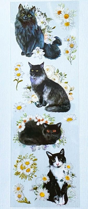 clear sticker stickers black cat cats kawaii cute stationery pack 3 sheet sheets flower flowers floral plastic and white kitten kittens animals uk daisy daisies grey