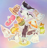 cute kawaii cat cats kitten kitty laptop large matte sticker stickers uk stationery pack packs black white ginger funny sweet decorative 