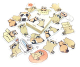 raccoon raccoons mini sticker flakes flake box of 45 stickers cute uk kawaii stationery animals animal wild 