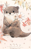 cute animal kawaii postcard otter frog fox bird chick bunny rabbit individual uk postcards