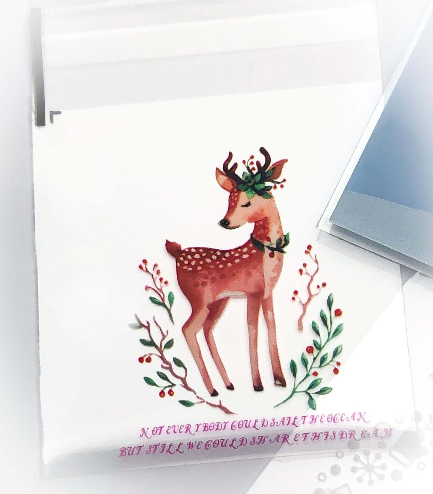 Cellophane Bags Sets of 10- Christmas