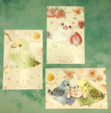 animal kawaii postcard trio pack of 3 postcards baby bird birds