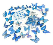 vibrant blue lilac turquoise blue butterfly butterflies plastic clear sticker stickers flake flakes pack of 40 die cute uk cute kawaii stationery