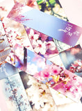 cherry blossom floral flower card bookmark bookmarks uk cute kawaii stationery bundle pink blue bundles