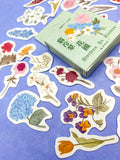 spring flower flowers floral blossom garden wild plant plants mini sticker flake flakes stickers box of 46 cute kawaii uk stationery pretty nature 