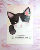 Cute Cat Individual Postcard -36 Designs