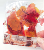 autumn leaf leaves clear plastic sticker stickers flake flakes bright colours red orange brown gold yellow uk cute kawaii stationery stickers pack of 40