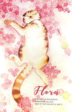 cat postcard postcards post card cards cute sweet kawaii stationery uk floral flower flowers