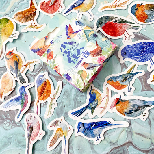 bird birds garden wildlife sticker flakes flake stickers mini box 46 little pack uk cute kawaii stationery robin wren jay humming starling blue tit