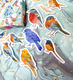bird birds garden wildlife sticker flakes flake stickers mini box 46 little pack uk cute kawaii stationery robin wren jay humming starling blue tit