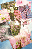spring flower flowers blossom postcard postcards bundle of 3 uk cute kawaii bundles stationery cherry pink