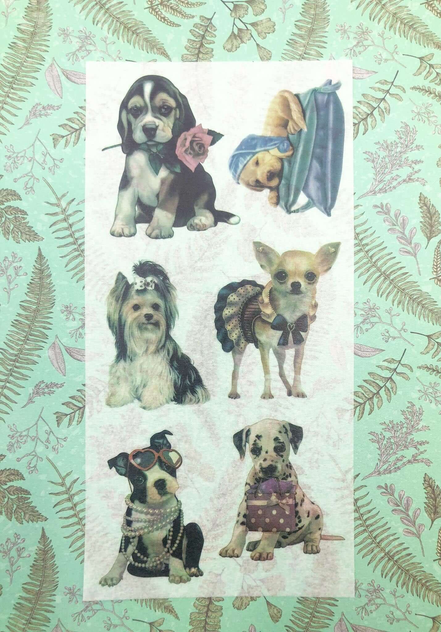 translucent washi paper stickers puppy dog dogs cute kawaii stationery uk pack of 3 large sheets planner vintage puppies