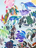 turtle turtles laptop sticker stickers set of 5 mixed different blue green pink purple patterned cute kawaii stationery gift gifts uk
