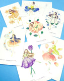 flower fairy postcard post card set bundle pretty fairies cards uk cute kawaii stationery bundles flowers