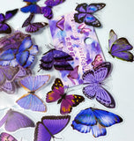 butterfly butterflies clear plastic sticker stickers flake flakes uk cute kawaii stationery blue purple lilac cerise pink pretty nature moth pack 40 20 small half mini colourful
