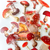 fungi toadstool toadstools mushroom mushrooms clear plastic sticker stickers flake flakes pack of 40 mini set uk cute kawaii stationery red orange spotted fairy woodland nature plants