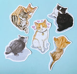 CATS Laptop / Decorative Stickers Set NEW SETS