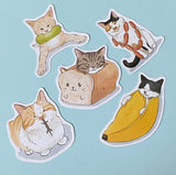 CATS Laptop / Decorative Stickers Set NEW SETS