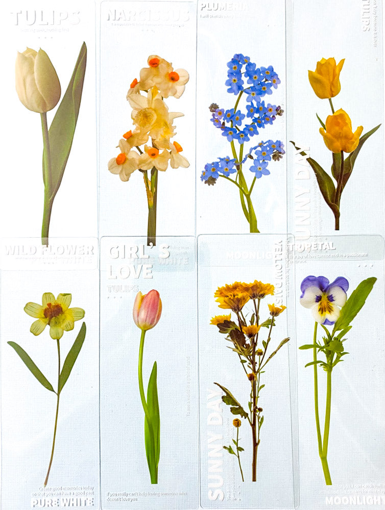 clear pet plastic bookmarks rounded corner uk cute kawaii stationery floral flower flowers spring tulip daffodil daisy violet yellow pink blue white bookmark