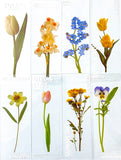 clear pet plastic bookmarks rounded corner uk cute kawaii stationery floral flower flowers spring tulip daffodil daisy violet yellow pink blue white bookmark