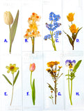 SPRING FLORAL Beautiful Plastic Transparent Bookmark -8 Flowers