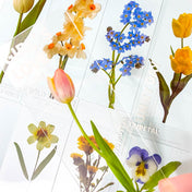 clear pet plastic bookmarks rounded corner uk cute kawaii stationery floral flower flowers spring tulip daffodil daisy violet yellow pink blue white bookmark