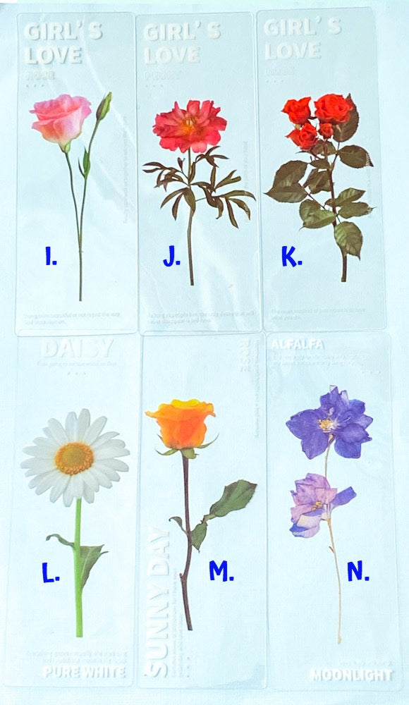 clear pet plastic bookmarks rounded corner uk cute kawaii stationery floral flower flowers spring tulip daffodil daisy violet yellow pink blue white bookmark rose delphinium lilac purple roses red