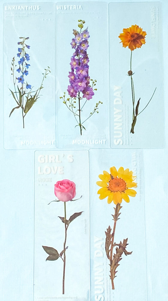 clear pet plastic bookmarks rounded corner uk cute kawaii stationery floral flower flowers spring tulip daffodil daisy violet yellow pink blue white bookmark rose delphinium lilac purple roses red