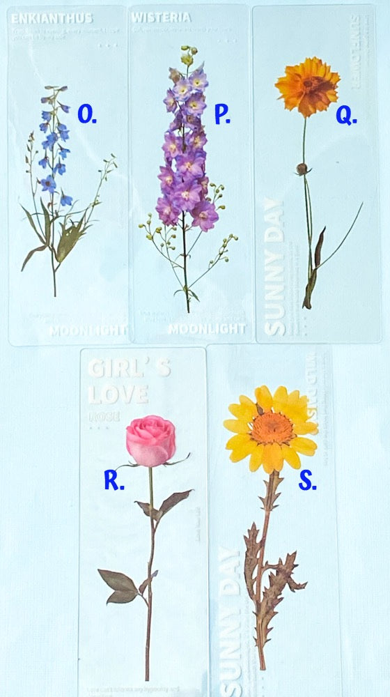 clear pet plastic bookmarks rounded corner uk cute kawaii stationery floral flower flowers spring tulip daffodil daisy violet yellow pink blue white bookmark rose delphinium lilac purple roses red