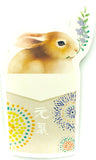 Kawaii Rabbit Individual Postcard